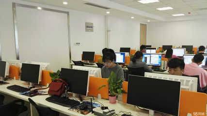 迅鋒商務信息咨詢 企業(yè)決策的智慧引擎與風險屏障